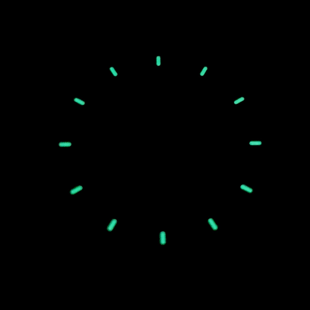 28.5mm Sterile Minute-Track Dial, Lumed - No Logo - DIA106